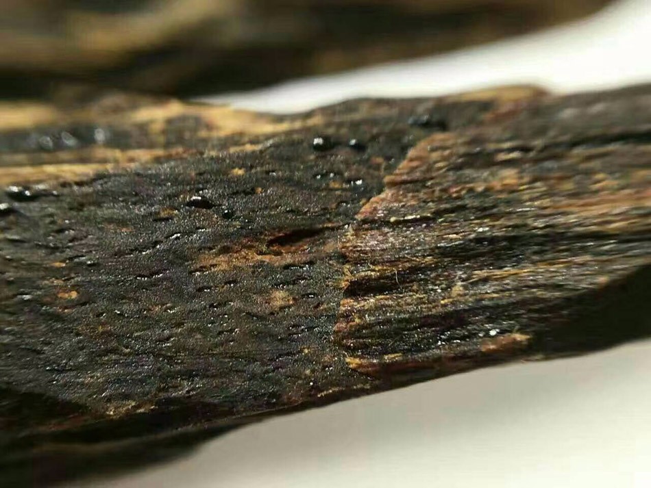Large resinous agarwood pieces